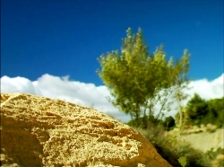 خیلی خیلی کوچک (1) (صورتی)